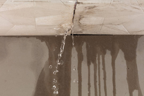 Professional Structural Drying technician working in Kaufman, TX